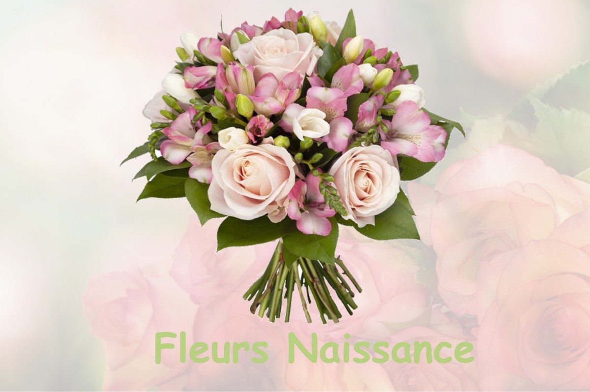 fleurs naissance NOUILLONPONT