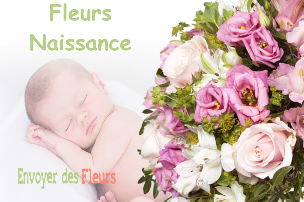 lIVRAISON FLEURS NAISSANCE à NOUILLONPONT